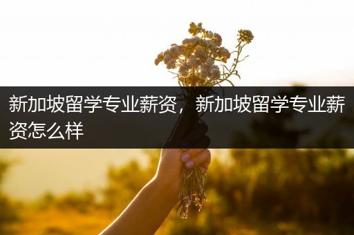 新加坡留学专业薪资，新加坡留学专业薪资怎么样