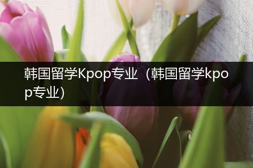 韩国留学Kpop专业（韩国留学kpop专业）