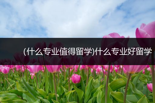 （什么专业值得留学)什么专业好留学