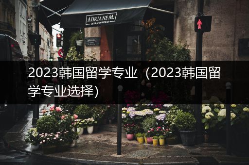 2023韩国留学专业（2023韩国留学专业选择）