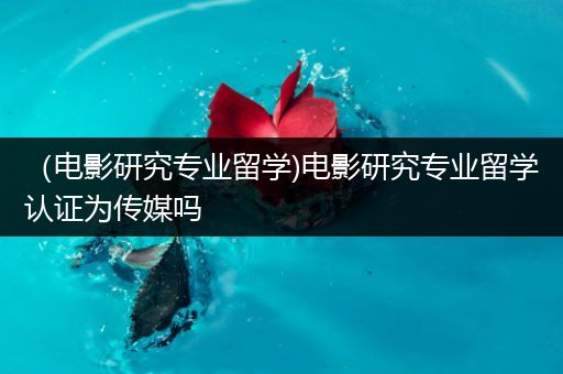 （电影研究专业留学)电影研究专业留学认证为传媒吗