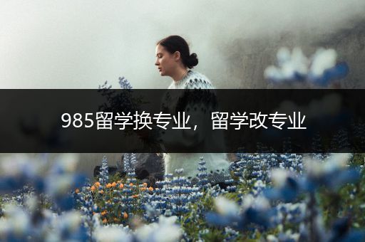 985留学换专业，留学改专业