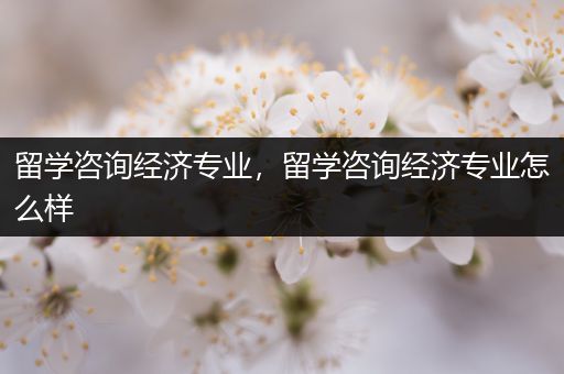 留学咨询经济专业，留学咨询经济专业怎么样