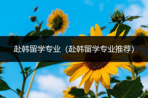 赴韩留学专业（赴韩留学专业推荐）