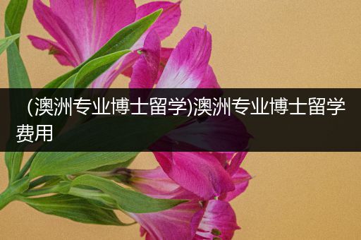 （澳洲专业博士留学)澳洲专业博士留学费用