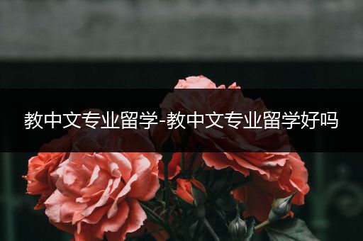 教中文专业留学-教中文专业留学好吗