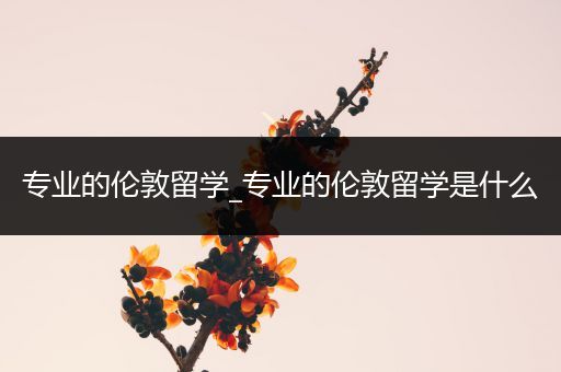 专业的伦敦留学_专业的伦敦留学是什么