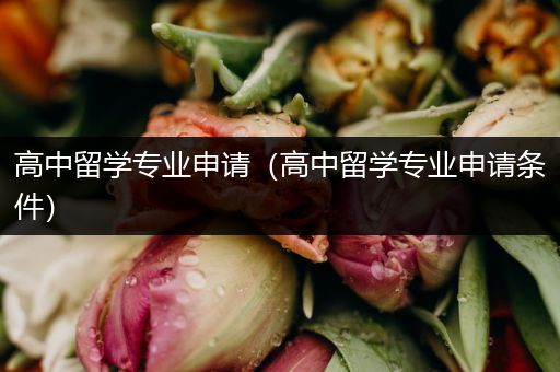 高中留学专业申请（高中留学专业申请条件）