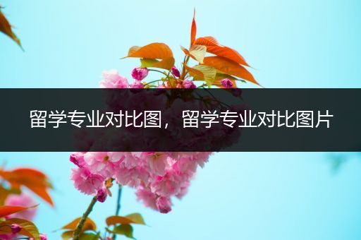 留学专业对比图，留学专业对比图片