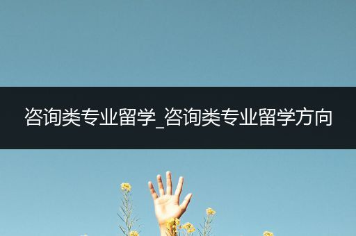 咨询类专业留学_咨询类专业留学方向