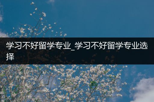 学习不好留学专业_学习不好留学专业选择