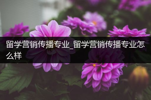 留学营销传播专业_留学营销传播专业怎么样