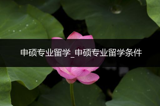 申硕专业留学_申硕专业留学条件