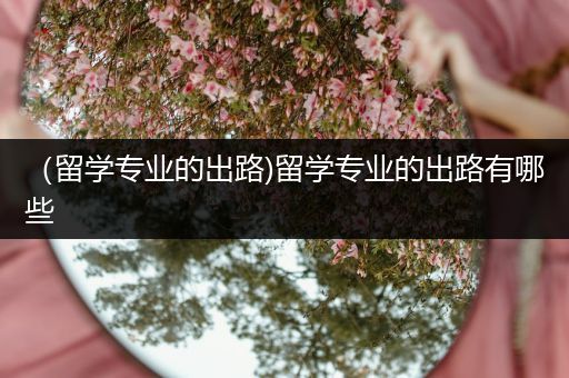 （留学专业的出路)留学专业的出路有哪些