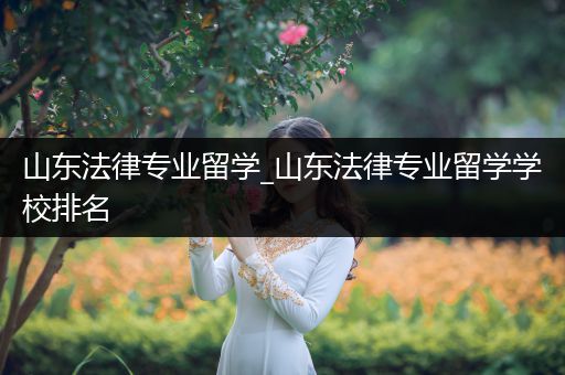 山东法律专业留学_山东法律专业留学学校排名