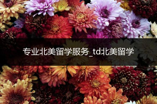 专业北美留学服务_td北美留学