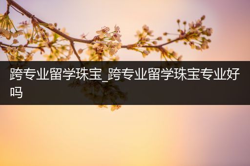 跨专业留学珠宝_跨专业留学珠宝专业好吗