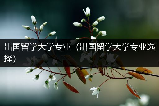 出国留学大学专业（出国留学大学专业选择）