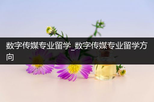 数字传媒专业留学_数字传媒专业留学方向