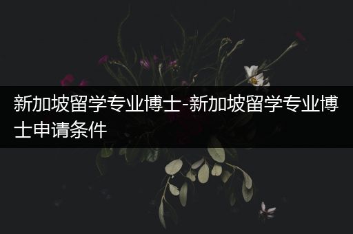 新加坡留学专业博士-新加坡留学专业博士申请条件