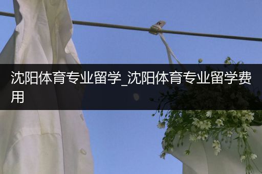 沈阳体育专业留学_沈阳体育专业留学费用