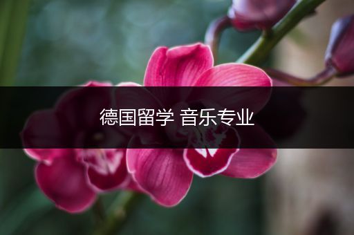 德国留学 音乐专业