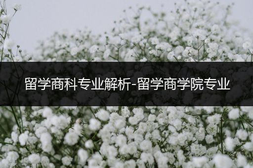 留学商科专业解析-留学商学院专业