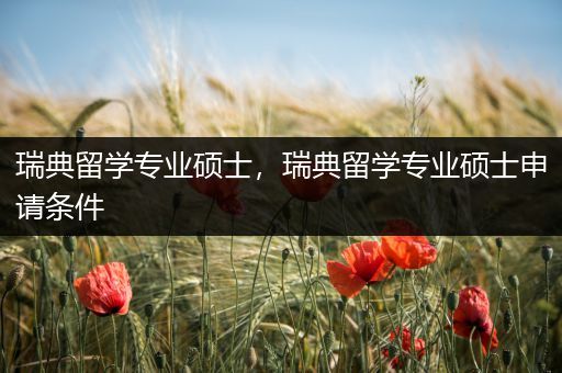 瑞典留学专业硕士，瑞典留学专业硕士申请条件