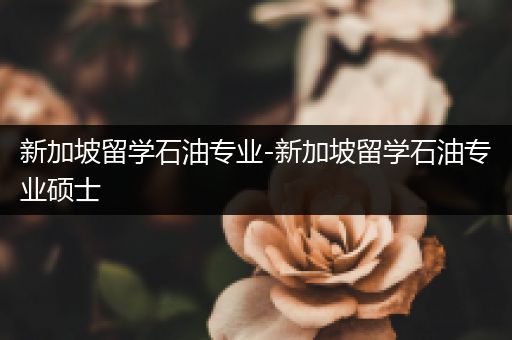 新加坡留学石油专业-新加坡留学石油专业硕士