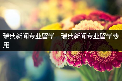 瑞典新闻专业留学，瑞典新闻专业留学费用