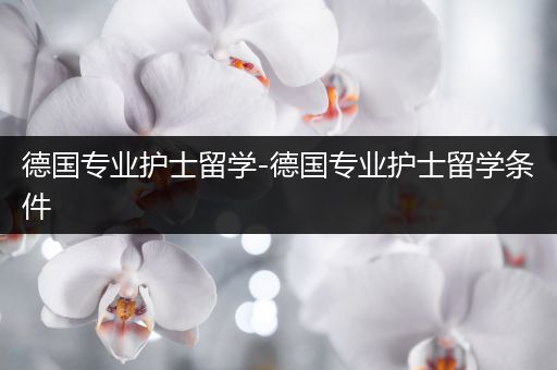 德国专业护士留学-德国专业护士留学条件