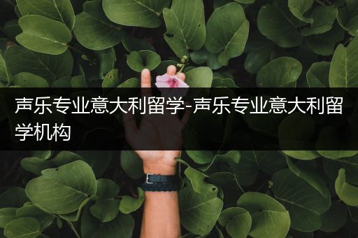 声乐专业意大利留学-声乐专业意大利留学机构