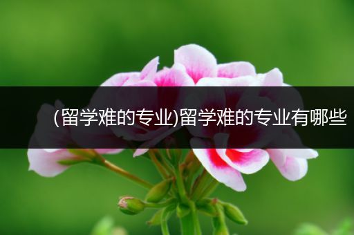 （留学难的专业)留学难的专业有哪些