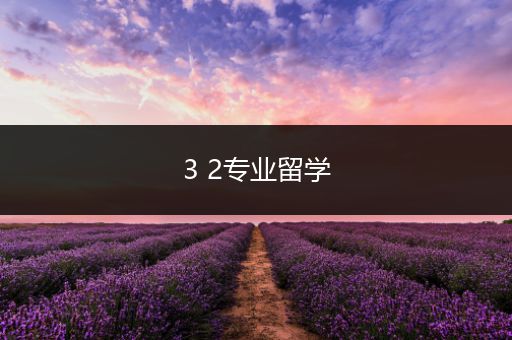 3 2专业留学