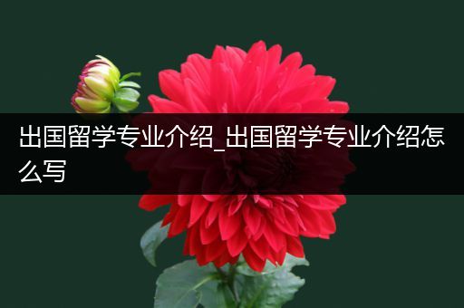 出国留学专业介绍_出国留学专业介绍怎么写