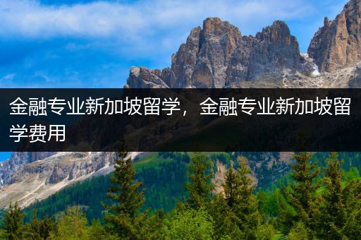 金融专业新加坡留学，金融专业新加坡留学费用