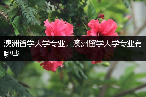 澳洲留学大学专业，澳洲留学大学专业有哪些