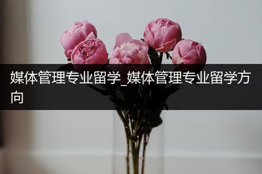 媒体管理专业留学_媒体管理专业留学方向