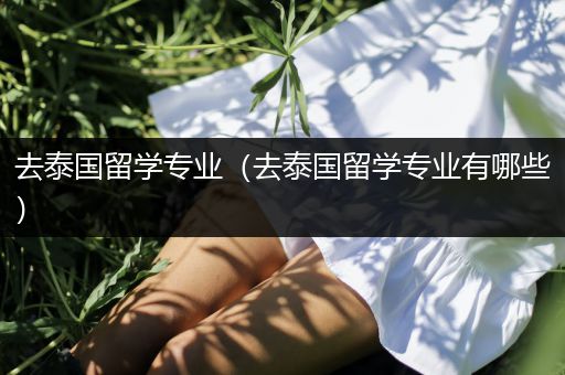 去泰国留学专业（去泰国留学专业有哪些）