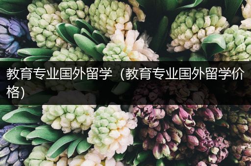 教育专业国外留学（教育专业国外留学价格）