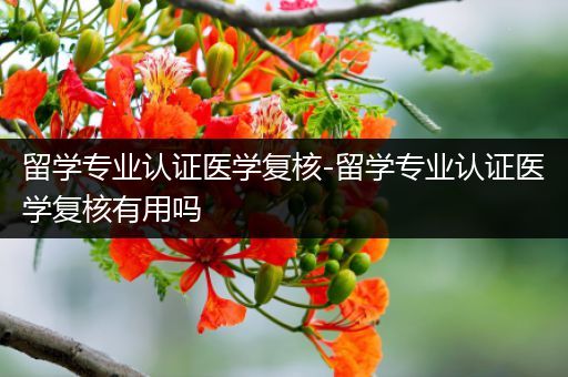 留学专业认证医学复核-留学专业认证医学复核有用吗