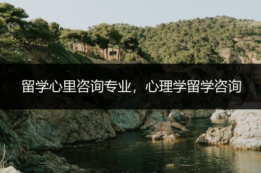 留学心里咨询专业，心理学留学咨询