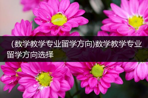 （数学教学专业留学方向)数学教学专业留学方向选择