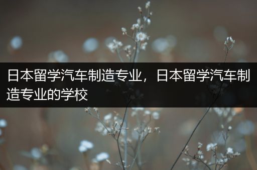 日本留学汽车制造专业，日本留学汽车制造专业的学校