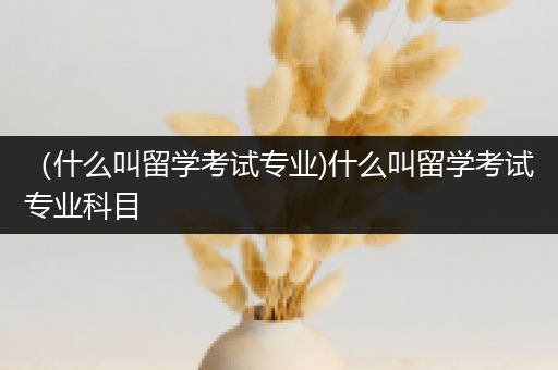 （什么叫留学考试专业)什么叫留学考试专业科目