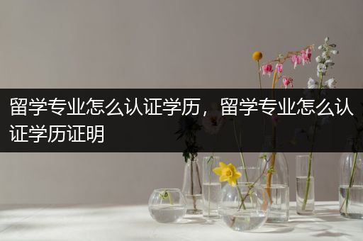 留学专业怎么认证学历，留学专业怎么认证学历证明