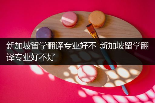 新加坡留学翻译专业好不-新加坡留学翻译专业好不好