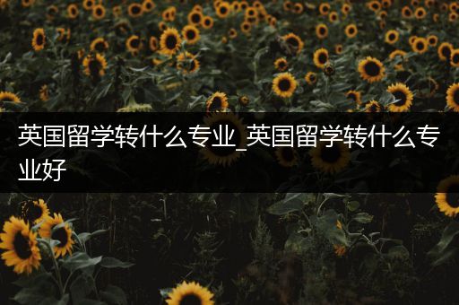 英国留学转什么专业_英国留学转什么专业好