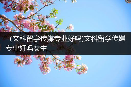 （文科留学传媒专业好吗)文科留学传媒专业好吗女生