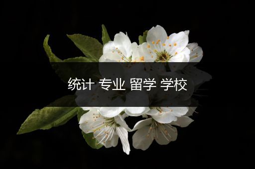 统计 专业 留学 学校